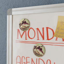 Load image into Gallery viewer, It's Better In The Bahamas Conch Shell 2.25 Inch Round Fridge Magnet