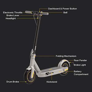 Segway Ninebot MAX G30LP Electric Kick Scooter, Up to 25 Miles Long-range Battery, Max Speed 18.6 MPH, Lightweight and Foldable, Gray, Large