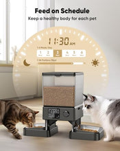 Load image into Gallery viewer, oneisall Automatic Cat Feeder for 2 Cats, 20 Cups/5L Automatic Cat Food Dispenser for Small Pets Indoor, Timed Cat Feeder for Dry Food
