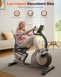 Niceday Recumbent Exercise Bike, Recumbent Bike for Home, Recumbent Stationary Bike 400LBS Weight Capacity, Magnetic Recumbent Bike with Smart APP, LCD Monitor, Heart Rate Handle