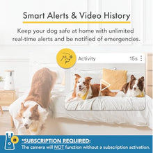 Load image into Gallery viewer, Furbo 360° Dog Camera + Nanny Bundle: Home Security &amp; Dog Safety Alerts, Rotating Pet Treat Dispenser Camera with Speaker, Smart Home Indoor Cam w Phone App (Additional Subscription Required at Setup)
