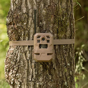 Moultrie Edge Cellular Trail Camera -Auto Connect - Nationwide Coverage - 720p Video with Audio - Built in Memory - Cloud Storage - 80 ft Low Glow IR LED Flash