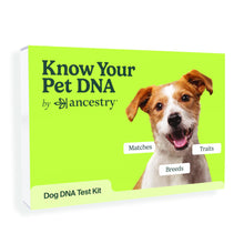 Load image into Gallery viewer, AncestryDNA Know Your Pet DNA: Dog DNA Breed Identification Test, Genetic Traits, DNA Matches, Dog DNA Test
