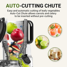 Load image into Gallery viewer, Juicer Machines, AMZCHEF 5.3-Inch Self-Feeding Masticating Juicer Fit Whole Fruits &amp; Vegetables, Cold Press Electric Juicer Machines with High Juice Yield, Easy Cleaning, BPA Free, 250W-Grey
