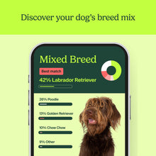 Load image into Gallery viewer, AncestryDNA Know Your Pet DNA: Dog DNA Breed Identification Test, Genetic Traits, DNA Matches, Dog DNA Test
