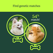 Load image into Gallery viewer, AncestryDNA Know Your Pet DNA: Dog DNA Breed Identification Test, Genetic Traits, DNA Matches, Dog DNA Test
