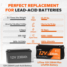 Load image into Gallery viewer, Litime 12V 230Ah Plus Low-Temp Protection LiFePO4 Battery Built-in 200A BMS, Max 2944Wh Energy, Lithium Iron Phosphate Battery Perfect for Solar System, RV, Camping, Boat, Home Energy Storage
