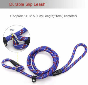 Lead Collar Dog Whisperer Cesar Millan Style Rope Slip Training Leash Nylon Blue