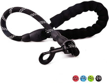 Load image into Gallery viewer, Petnsport 2 FT Short Training Dog Leash W/Soft Padded Handle, Heavy Duty Clip
