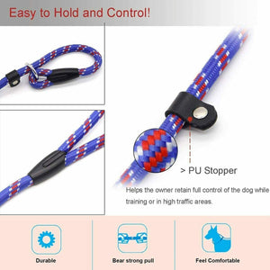 Lead Collar Dog Whisperer Cesar Millan Style Rope Slip Training Leash Nylon Blue