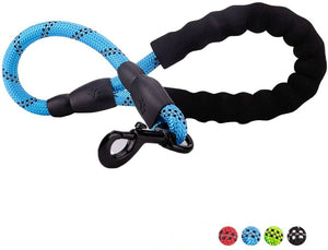 Petnsport 2 FT Short Training Dog Leash W/Soft Padded Handle, Heavy Duty Clip